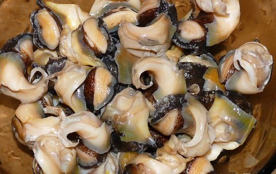 Рапаны в сливочном соусе