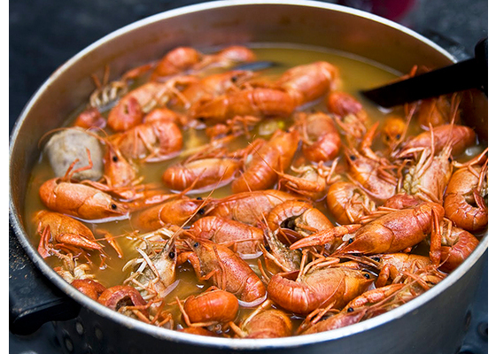 Как варить раков с укропом — классический домашний рецепт